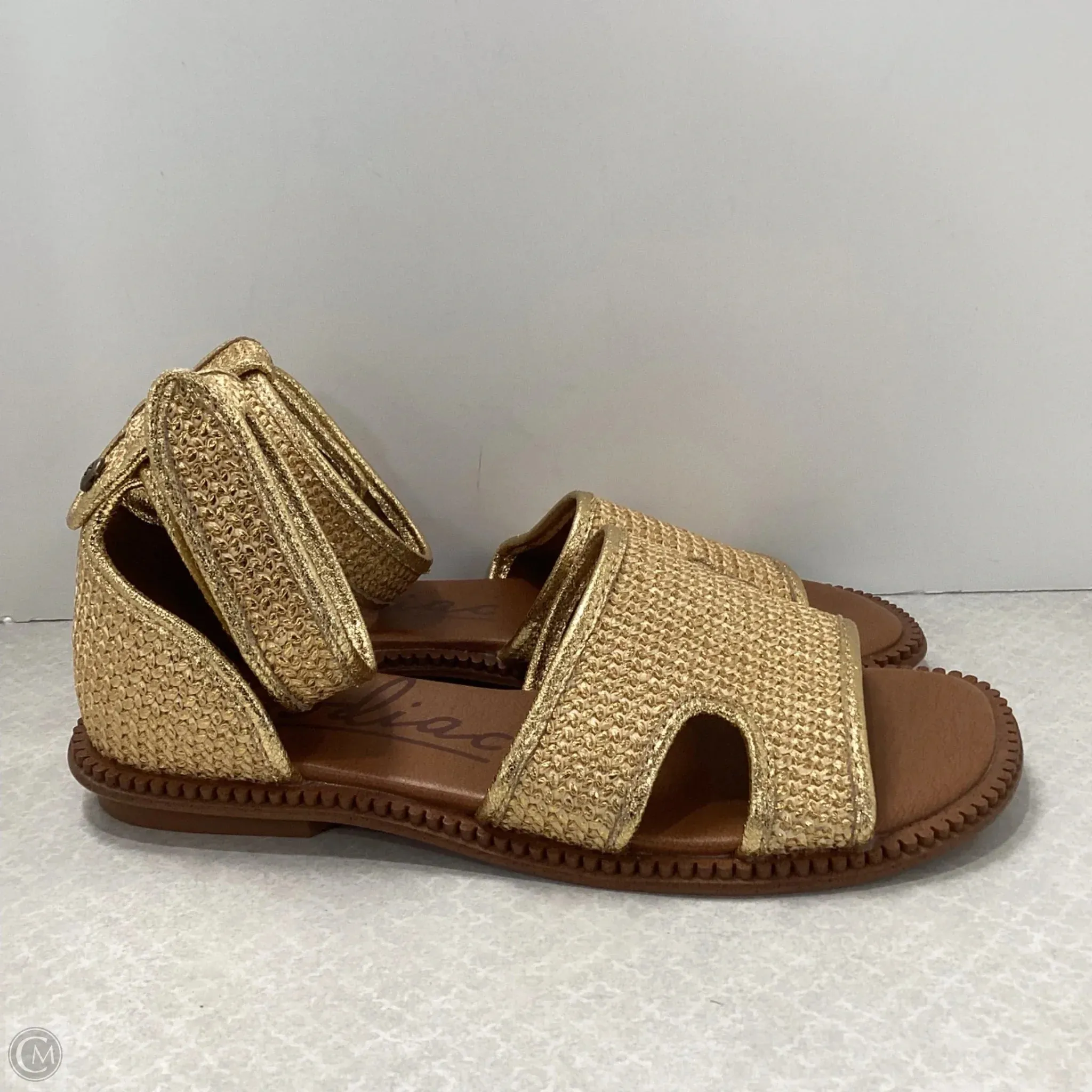 Sandals Flats By Zodiac In Gold, Size: 6.5